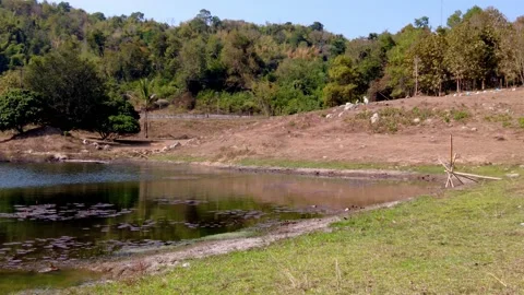 Shore of a lake 库存影片 150342651