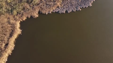 The shore of the lake Stock Footage 258485288