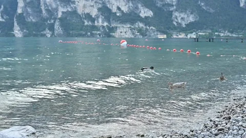 Shore of lake garda Video stock 166506537