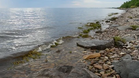 Shore of lake ilmen Stock Footage 108529262