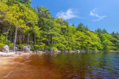 Shore of lake Stock Photos