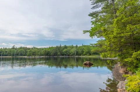 Shore of lake Stock Photos
