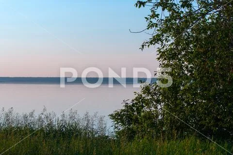 Shore of the lake Stock Photos