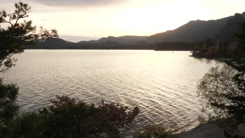 Shore of the lake in the rays of the setting sun Stock Footage 219966405