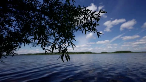 The shore of the lake, surrounded by dense trees, overlooking the calm water and 스톡 동영상 280692826