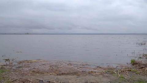 The shore of a large lake in the evening, in cloudy weather Stock-Footage 116909449