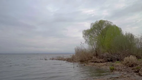 The shore of a large lake in the evening, in cloudy weather Stockbeeldmateriaal 116909587