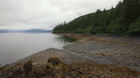 Shore line in Alaska Stock Footage 146771144