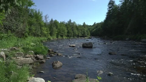 Shore line river Stock Footage 171341451