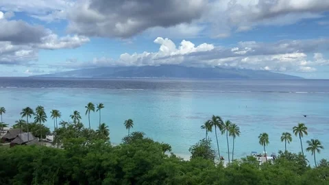 Shore in Moorea, aerial view Stockbeeldmateriaal 344349210