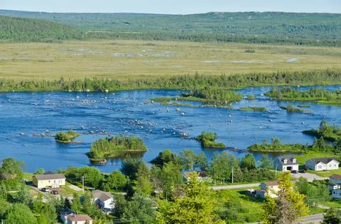 Shore of Newfoundland Stock Photos