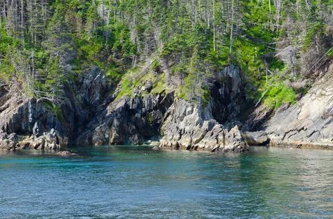 The shore of Newfoundland Stock Photos