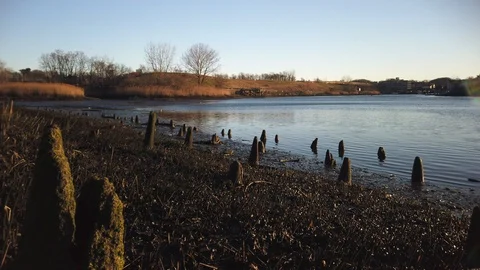 Shore of Norwalk River at Sunrise Stock Footage