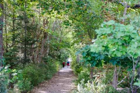 Shore Path in Bar Harbor Stock Photos