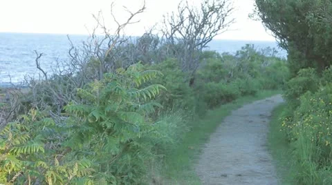 Shore Path Video stock 11192070