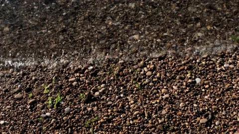 Shore of the pebble beach in Abruzzo Stock-Footage 158865764