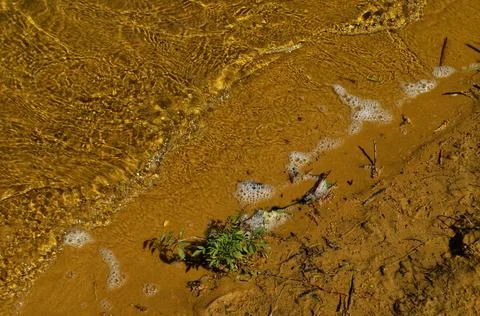 On the shore Stock Photos
