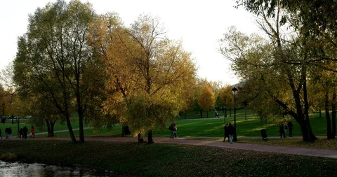 On the shore of the pond Stock Footage 96684469