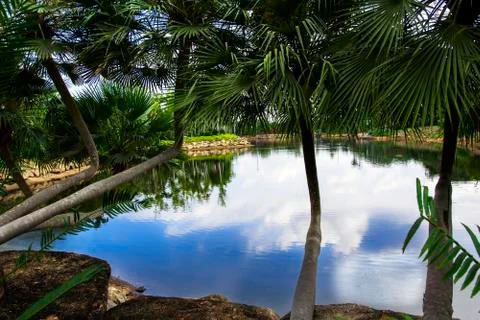 Shore of the Pond. Foto stock