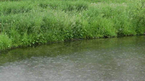 Shore Rain Stock Footage 50799298