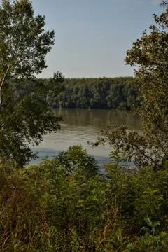 Shore of a river bordered by trees after a flood in autumn Stock Photos
