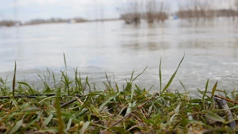 Shore At A River Closeup Stock Footage 88416318