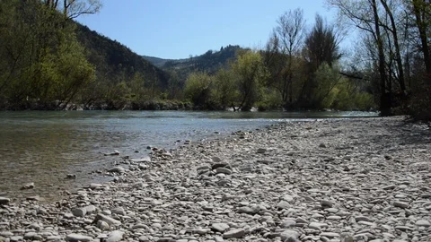 Shore of River Stock Footage 88559620