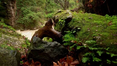 Shore with river raging Stock Footage 74094854