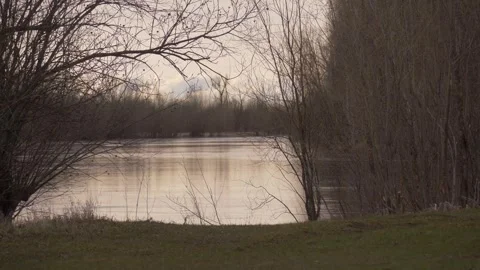 Shore of the river with small grass in the spring Stock Footage 283566221