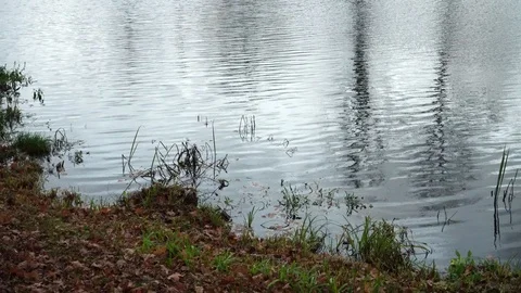 The shore of the river with waves on a windy day. Stock Footage 119292109