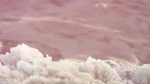 The shore of the salt lake. Stock Footage 79604814