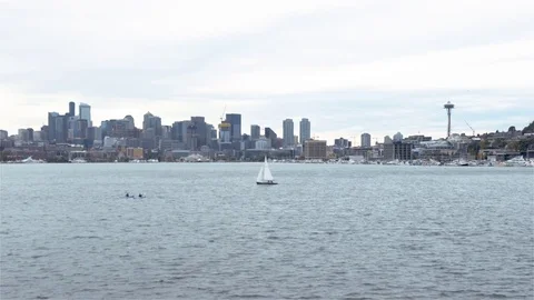 The Shore of Seattle 動画素材 85103555