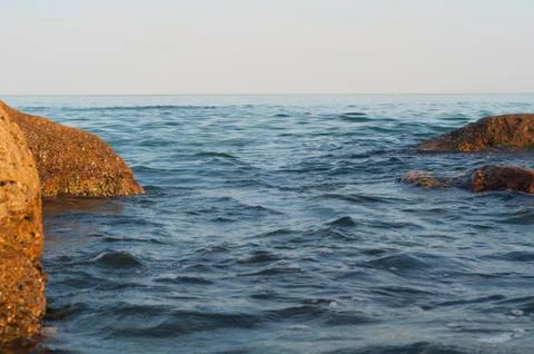 Shore with shellfish on sky background Stock Photos