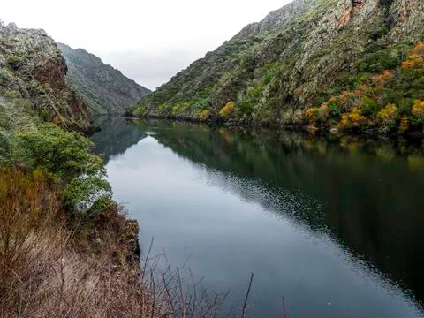 Shore of the Sil River Photos