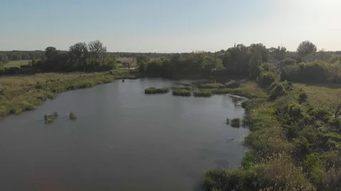 Shore of small lake in the evening Stock Footage 89902008