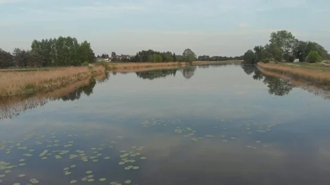 Shore of small lake in the evening Stock Footage 89903841
