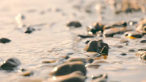 The shore of a small river and the current that runs along the shore. Stones Stock Footage 164371905