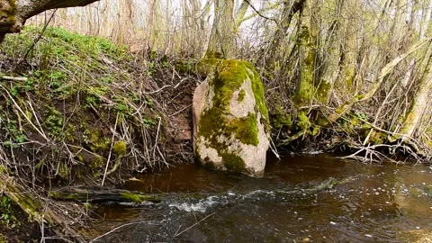 Shore of a small river with a fallen big stone Stock Footage 130640376