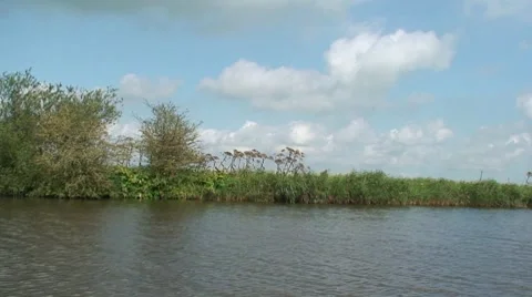 Shore of a small river Stock Footage 8523916