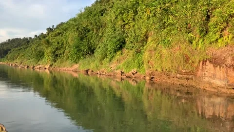 The shore of a small river Stock Footage 131844841