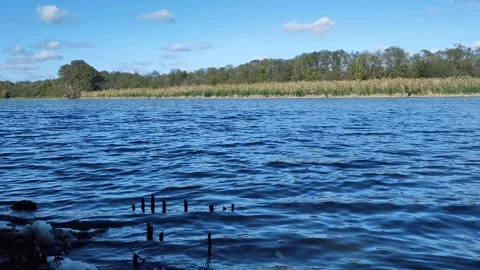 The Shore Of A Small River Is The Middle Plan Stock Footage 291541928