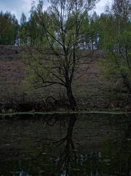 Shore of a small river on a spring evening Stock Photos
