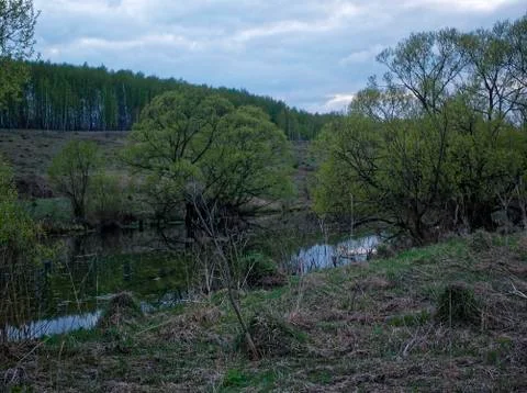 Shore of a small river on a spring evening Stock Photos