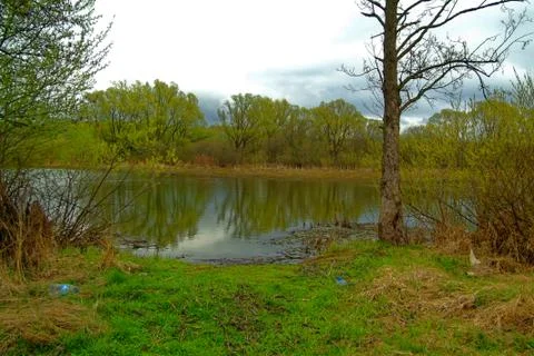 Shore of a small river on a spring evening Stock Photos