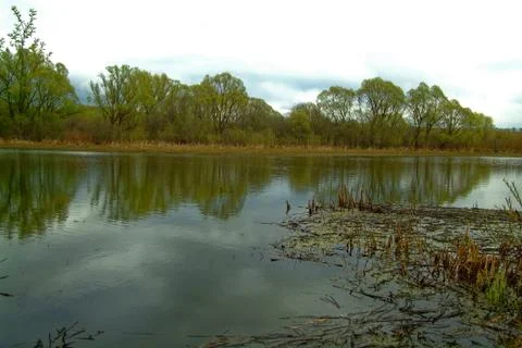 Shore of a small river on a spring evening Stock Photos