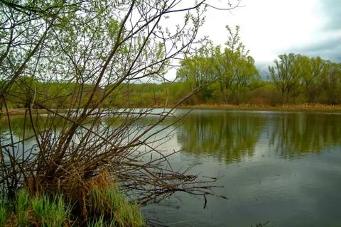 Shore of a small river on a spring evening Stock Photos