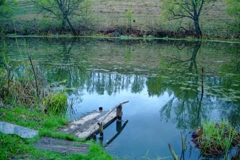 Shore of a small river on a spring evening Stock Photos