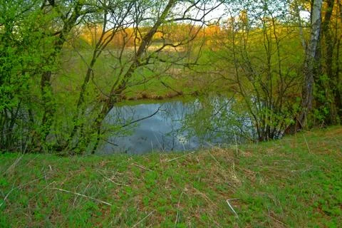 Shore of a small river on a spring evening Stock Photos