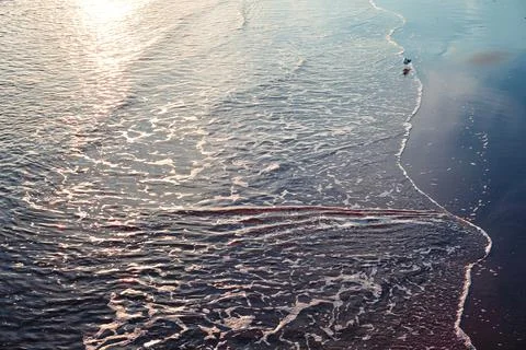 The shore at sunset Stock Photos