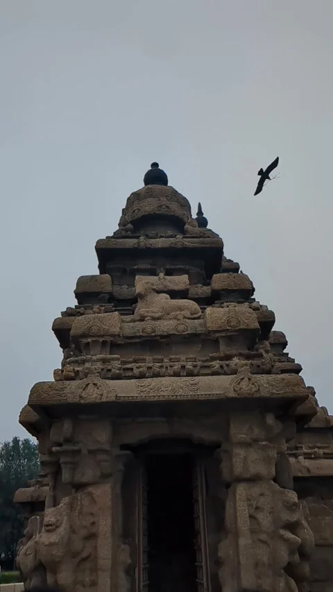 The Shore Temple in Mahabalipuram Stock Footage 312821646